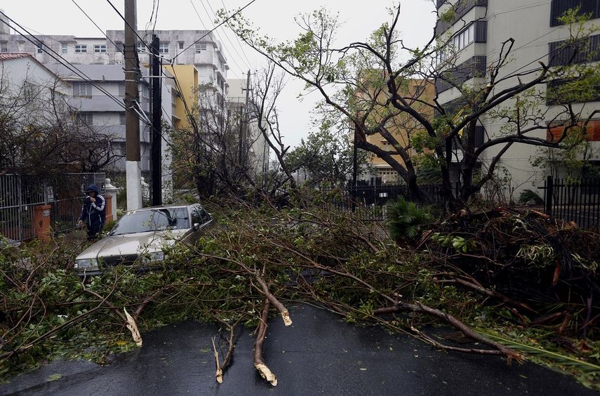 Vista de un árbol caído tras el paso del huracán María este miércoles 20 de septiembre 2017 en el sub-barrio de Miramar de Santurce, en el municipio de San Juan, Puerto&nbsp;Rico.