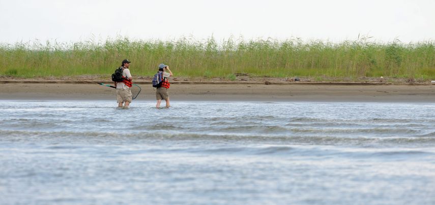 La zona muerta ubicada en la desembocadura del río Misisipi, en aguas del&nbsp;golfo de&nbsp;México, podría convertirse durante el mes de julio en la segunda mayor registrada de la historia.