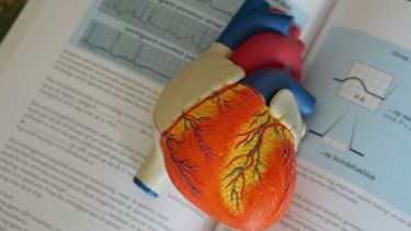 Imagen referencial.&nbsp;