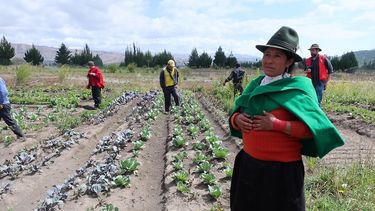 Cada año se invierten 240.000 millones de dólares en agricultura en países de ingresos bajos y medios.