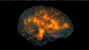 Más de 190 investigadores pidieron dar menos dinero al proyecto. Foto: @lalza