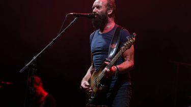 El cantante británico Sting.&nbsp;