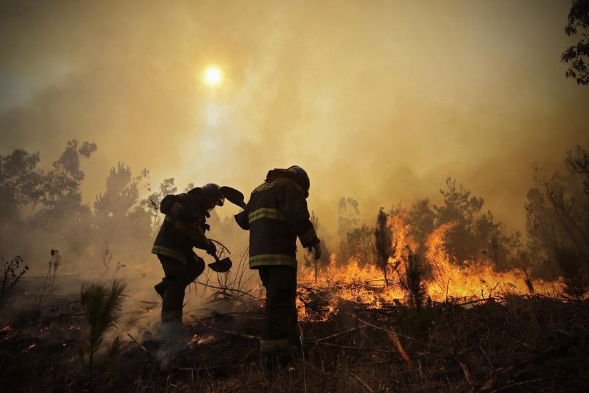 En las últimas semanas se desató en Chile una oleada de focos de fuego, que causaron la muerte de once personas, dejaron más de 7.000 damnificados y destruyeron más de 1.600 viviendas.