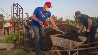 Miguel Díaz-Canel con una pala en un trabajo voluntario en La Habana.&nbsp;