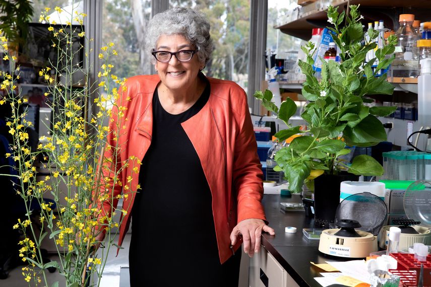 La bióloga estadounidense&nbsp;Joanne&nbsp;Chory, una de las ganadoras del Premio Princesa de Asturias de Investigación Científica y Técnica 2019, en el laboratorio de Biología Molecular y Celular de Plantas en la Jolla, California.