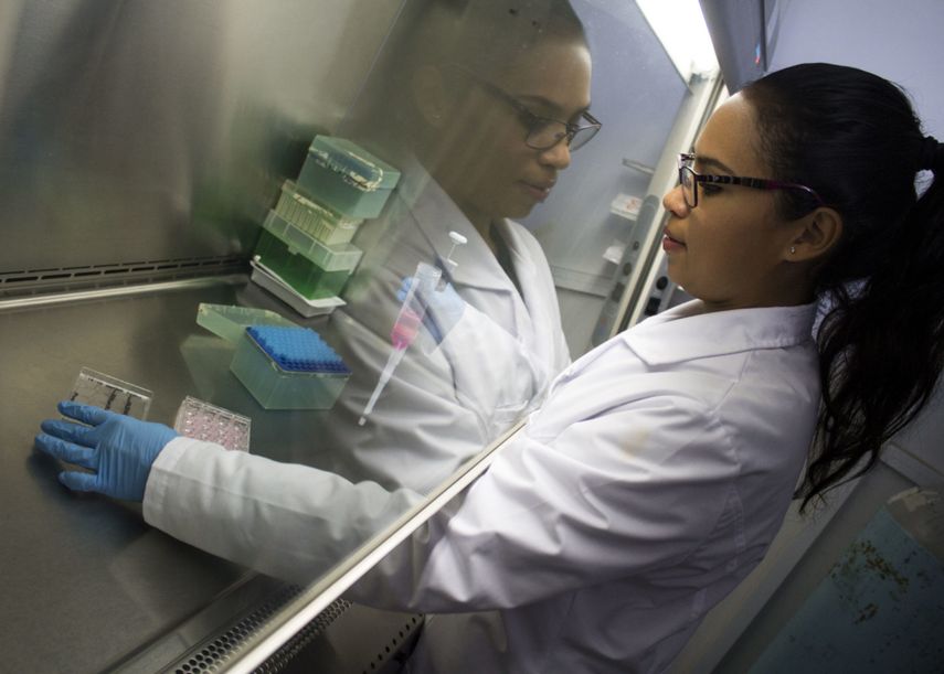 Claudia Gutiérrez, de la Facultad de Química de la UAQ, busca sustancias que disminuyan los efectos nocivos de la quimioterapia.