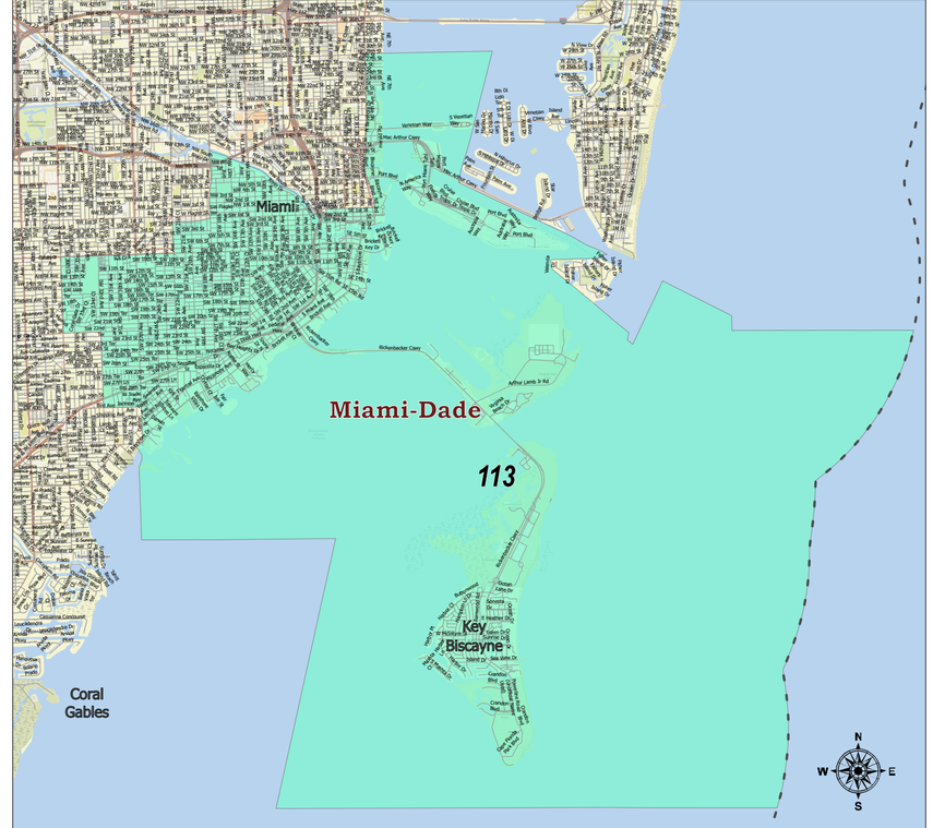 Mapa del Distrito 113 de la Cámara de Representantes de Florida.&nbsp;