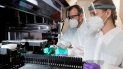 En una imagen del miércoles 22 de julio de 2020 proporcionada por C2N Diagnostics, Matthew Meyer, izquierda, científico proteómico, y Stephanie Knapik, una investigadora adjunta, trabajan en un laboratorio que analiza las muestras sanguíneas en las instalaciones de la compañía en el Centro de Tecnologías Emergentes en San Luis. En una imagen del miércoles 22 de julio de 2020 proporcionada por C2N Diagnostics, Matthew Meyer, izquierda, científico proteómico, y Stephanie Knapik, una investigadora adjunta, trabajan en un laboratorio que analiza las muestras sanguíneas en las instalaciones de la compañía en el Centro de Tecnologías Emergentes en San Luis.