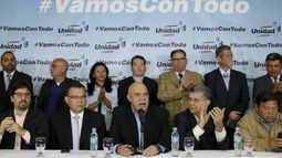 Integrantes de la Mesa de la Unidad Democrática.