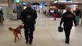 Grupo de rescate canino viaja a Hawái para ayudar en las tareas de rescate de víctimas tras incendios forestales.