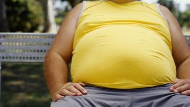 Entre los hallazgos del estudio ligados al BRFSS destaca el hecho de que más hombres (28,8 %) que mujeres (26,7 %) son obesos en Florida, frente al 39 % en mujeres y 34,7 % en hombres de OneFlorida.