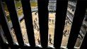 Vista, desde una celda, del patio de la prisión de máxima seguridad Combinado del Este, en La Habana. Vista, desde una celda, del patio de la prisión de máxima seguridad Combinado del Este, en La Habana.