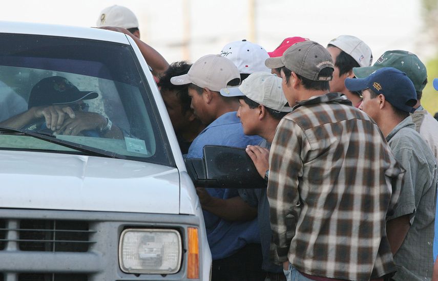 Un grupo de&nbsp;trabajadores&nbsp;indocumentados&nbsp;intenta convencer a un patrón que los contrate.