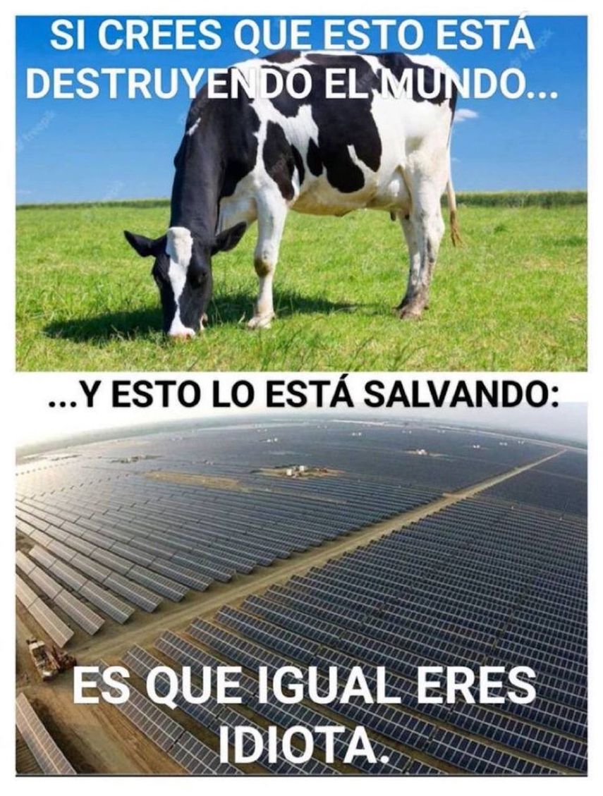 Imagen referencial.&nbsp;