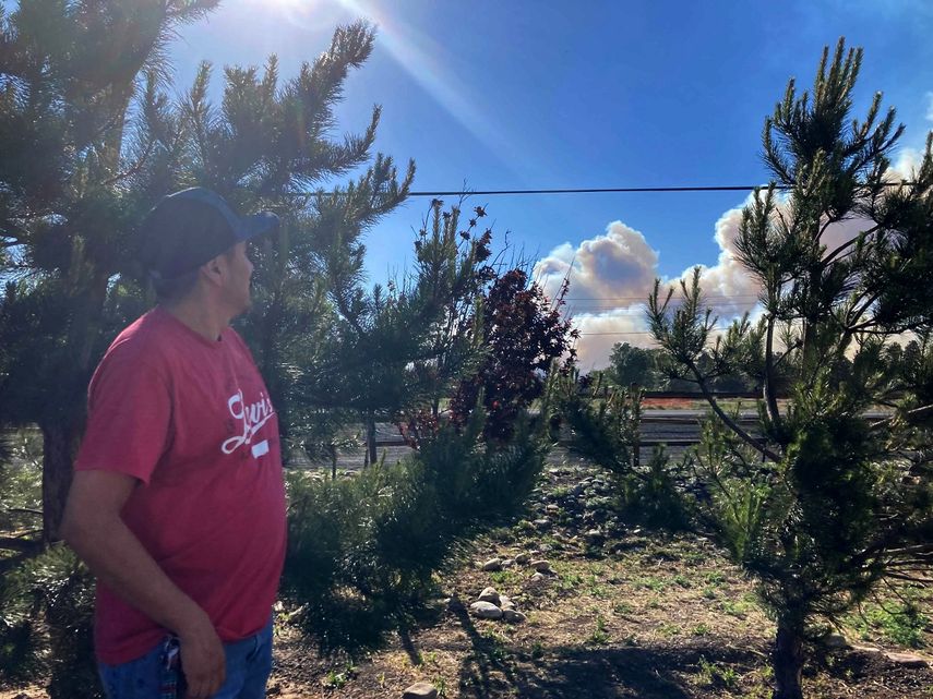 Darren King mira el humo que se alza sobre los árboles el domingo 12 de junio de 2022 a las afueras de Flagstaff, Arizona. Las autoridades evacuaron el domingo partes del norte de Arizona mientras crecía un incendio unos 9 kilómetros (6 millas) al norte de Flagstaff.&nbsp;