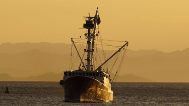 La policía arrestó a los cinco miembros de la tripulación: cuatro ciudadanos turcos y una persona de la antigua república soviética de Georgia.