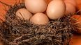 Para 2024, el lema del Día Mundial es Unidos por los Huevos&nbsp;