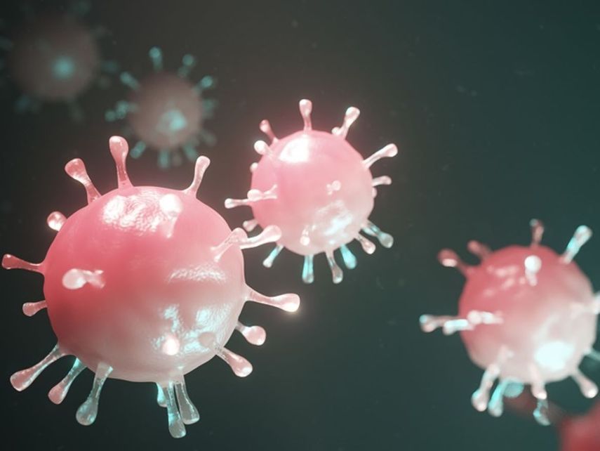 La OMS asegura que el coronavirus muta de forma bastante lenta en comparación a otros virus.