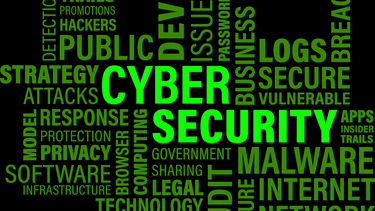 Los ataques cibernéticos son usuales en Internet.