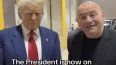 Donald Trump en su primer video en TikTok junto al director ejecutivo de la UFC, Dana White.&nbsp;