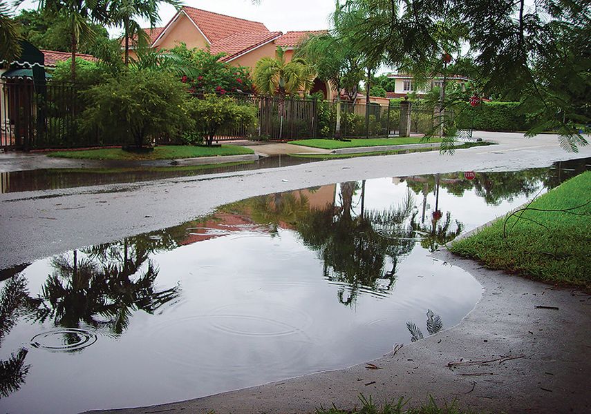 Las lluvias multiplican las posibilidades de reproducción de los mosquitos transmisores del peligroso virus. (JESÚS HDEZ.)