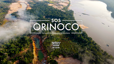 Página web inicial de SOS Orinoco: Salvando la Amazonía.&nbsp;