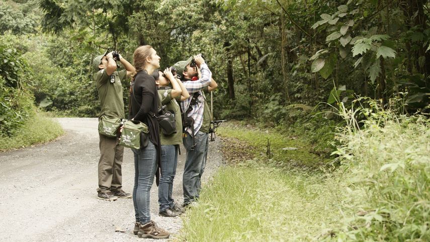 Visitantes y especialistas del&nbsp;Parque Nacional Yanachaga Chemillén&nbsp;exploran esta reserva natural peruana.&nbsp;