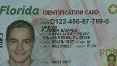 Las autoridades indagan si hubo un&nbsp;uso impropio de información personal.