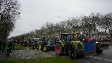 Tractores están estacionados durante una protesta cerca del Castillo de Versalles, en las afueras de París.