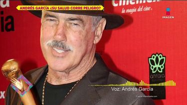 El actor Andrés García.