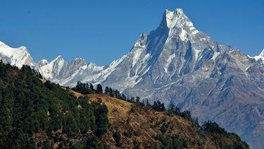 El shilajit o lágrima de montaña se recoge principalmente en las cordilleras del Himalaya.