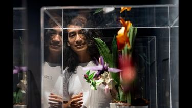 La exposición de origami Orquídeas y colibríes&nbsp;del artista mexicano Cekouat León.