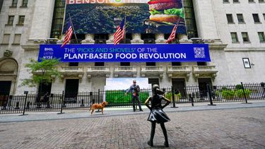 Un hombre pasea su perro entre la estatua Fearless Girl y la sede de la Bolsa de Valores de Nueva York. &nbsp;