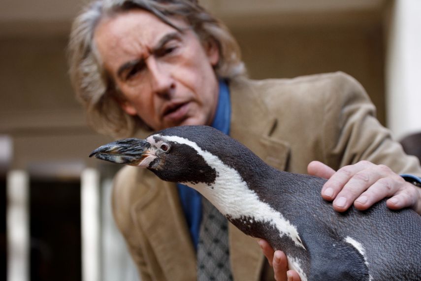 Steve Coogan protagoniza el filme Lecciones de un pingüino.