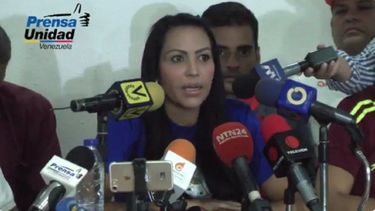 La diputada ante la Asamblea Nacional (AN) de Venezuela, Delsa Sol&oacute;rzano.
