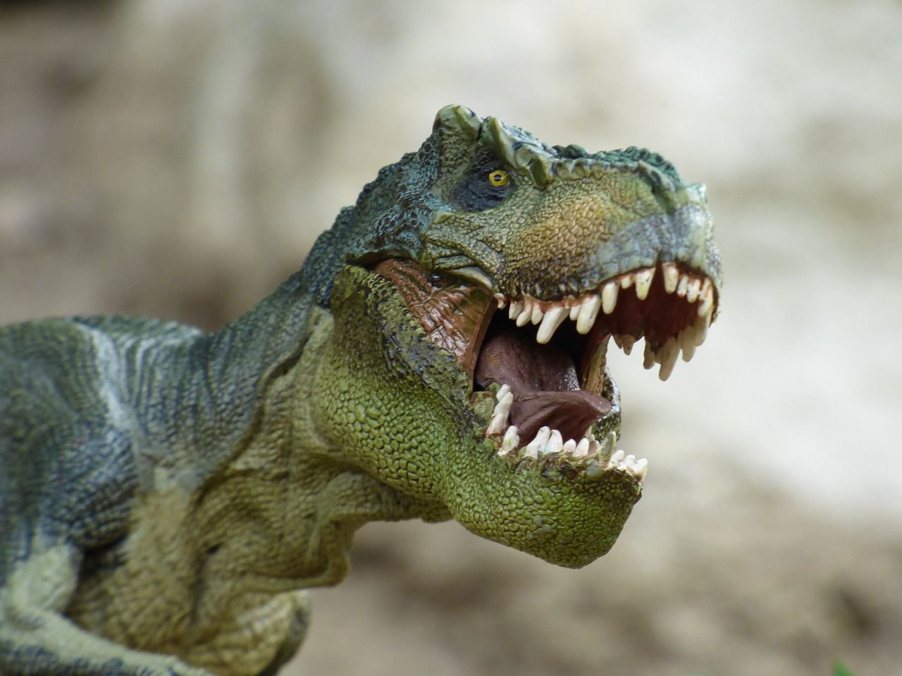 Los dinosaurios primitivos ya vivían en manada Los dinosaurios primitivos ya vivían en manada