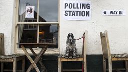 Un perro aguarda a su dueño a las puertas de un colegio electoral montado en Anglesea Arms, en el centro de Londres.