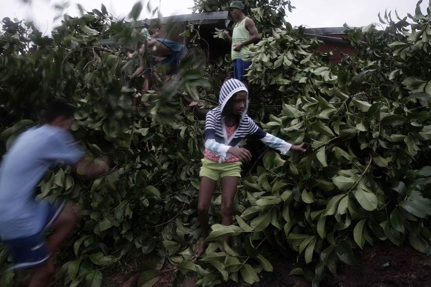Un grupo de personas retira los árboles caídos tras el paso del huracán Otto, en Chiles de San Carlos, en la frontera con Nicaragua