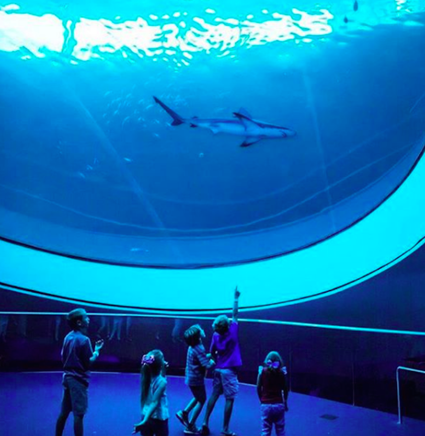 Gratis- entradas para Frost Museum, Zoo Miami y más.