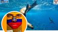 Expo Ecuador Mi País 2023 llega a Florida