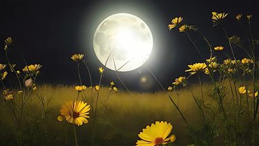 Imagen de la Luna llena en temporada primaveral