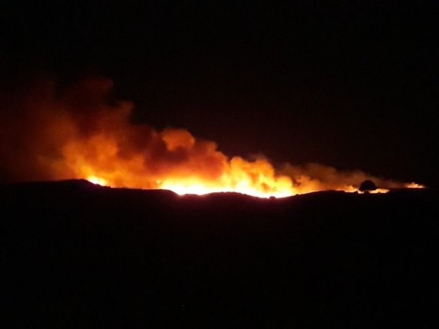 Incendio forestal en el Pinar del T&aacute;bano.&nbsp;