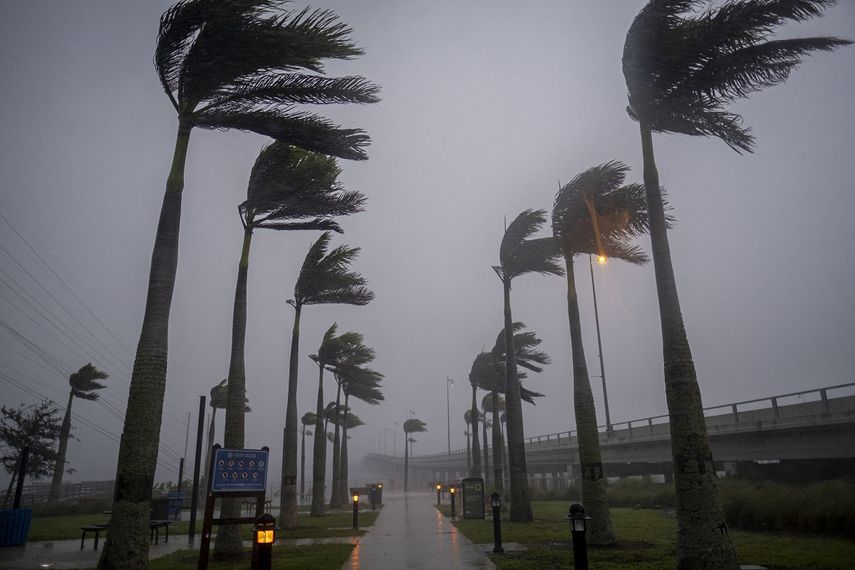 El viento sopla palmeras antes del huracán Ian en Charlotte Harbor, Florida, el 28 de septiembre de 2022.&nbsp;&nbsp; &nbsp;