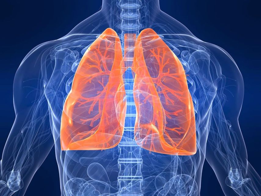 A partir de 2017 el 5 de mayo es considerado el día de la Hipertensión Pulmonar,&nbsp;