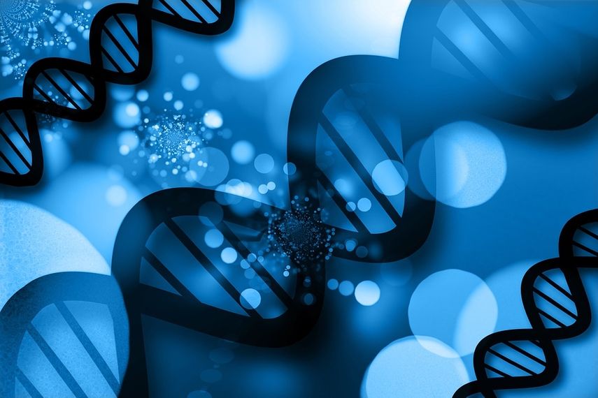 Secuencia referencial de ADN