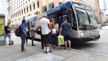 Miami-Dade cuenta con&nbsp;más de 90 rutas y unos 800 autobuses.