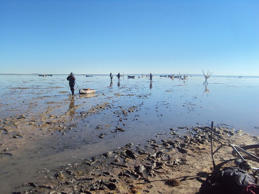 Cruzar el lago ahora se uede hacer a pie, entre el lodo y los retos que sobresalen del agua (FOTO Consejo Educativo URU)