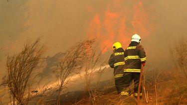 Las llamas, que en Chile arrasaron más de 500.000 hectáreas de árboles, bosques nativos y pastizales, además de cientos de viviendas, fueron combatidas por unas 60 aeronaves de varios países