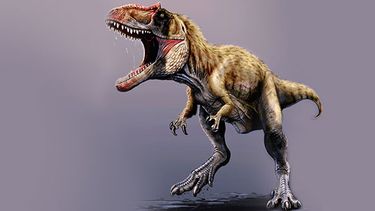 Reproducción artística provista por el museo Field, del dinosaurio recientemente descubierto, llamado Siats meekerorum. Los investigadores descubrieron el fósil de este depredador gigante de hace 100 millones de años en Utah. Es el primero de su tipo d