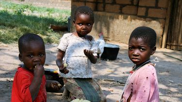 El hambre amenaza a unos 15 millones de personas en la República Democrática del Congo (RDC), casi el 20% de su población, a causa de la violencia que impera en una decena de provincias del noroeste, donde varios grupos armados se mantienen en conflicto.&nbsp;&nbsp;